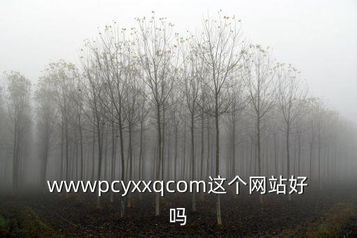徐州征婚網(wǎng)褚福勝，wwwpcyxxqcom這個網(wǎng)站好嗎