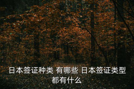 日本簽證種類 有哪些 日本簽證類型都有什么