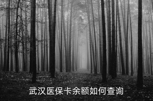武漢醫(yī)保查詢(xún)，武漢醫(yī)保查詢(xún)官網(wǎng)