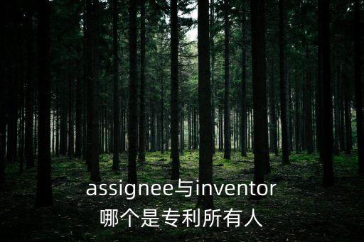 assignee與inventor哪個(gè)是專利所有人