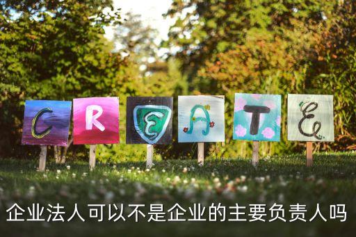 企業(yè)法人可以不是企業(yè)的主要負(fù)責(zé)人嗎