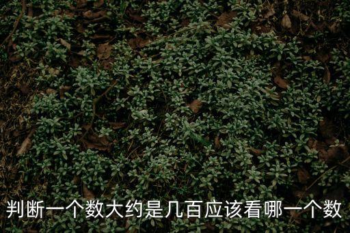 幾百，為什么幾千叫幾K那幾百怎么說