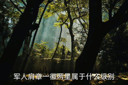 一杠兩星，一杠兩星是什么軍銜