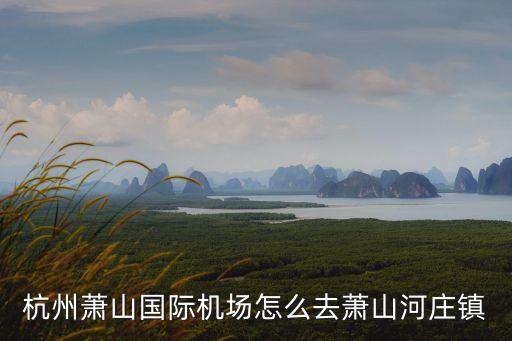 杭州蕭山國(guó)際機(jī)場(chǎng)怎么去蕭山河莊鎮(zhèn)