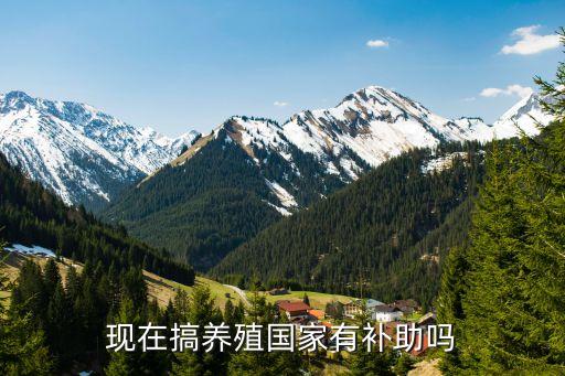 養(yǎng)殖補(bǔ)貼，現(xiàn)在搞養(yǎng)殖國(guó)家有補(bǔ)助嗎
