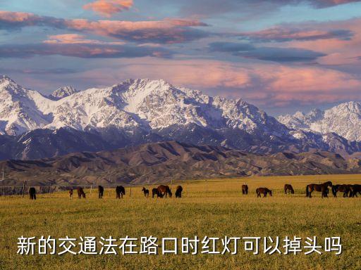 紅燈掉頭，左轉紅燈可以掉頭嗎