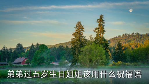 弟弟日姐姐，11歲小弟弟艸 29歲姐姐 我知道很多人找很久