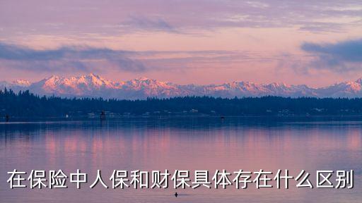 在保險(xiǎn)中人保和財(cái)保具體存在什么區(qū)別