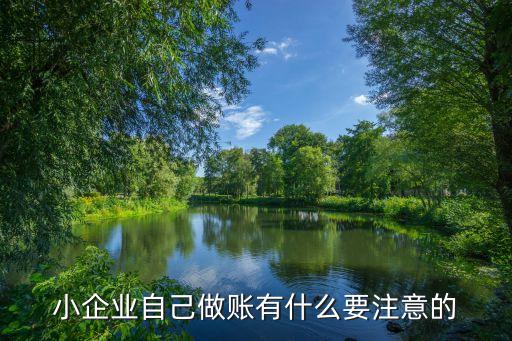 小企業(yè)自己做賬有什么要注意的