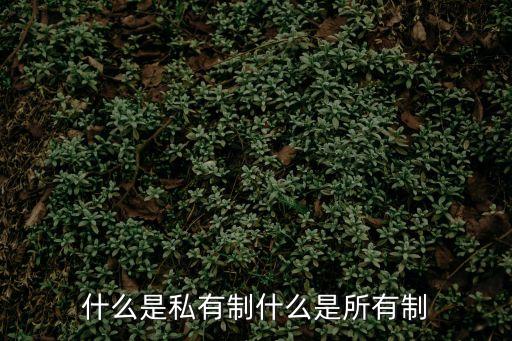 私有制是什么意思，歷史上私有制指