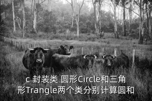 c 封裝類 圓形Circle和三角形Trangle兩個類分別計算圓和