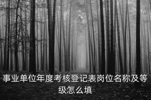 事業(yè)單位年度考核登記表崗位名稱及等級怎么填