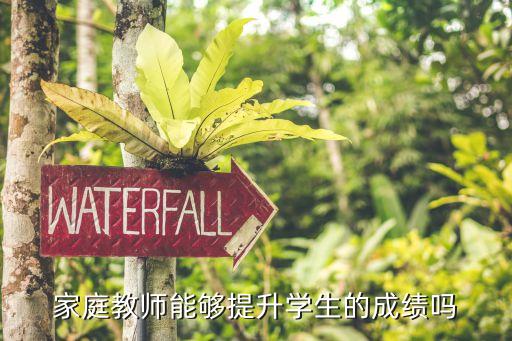 私人家教提升成績，家庭教師能夠提升學生的成績嗎