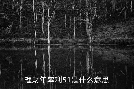 理財(cái)年率利51是什么意思
