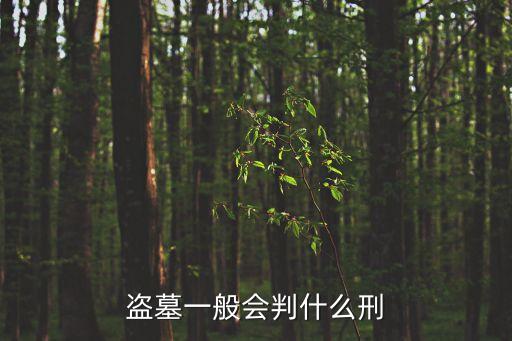 墓盜，盜墓是啥罪