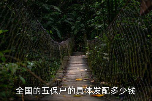 全國的五保戶的具體發(fā)配多少錢