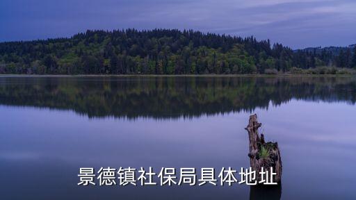 景德鎮(zhèn)社保局具體地址