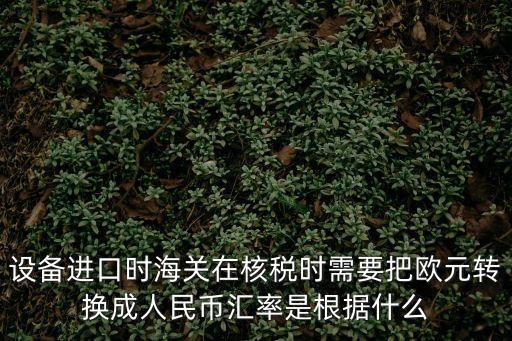 設(shè)備進(jìn)口時(shí)海關(guān)在核稅時(shí)需要把歐元轉(zhuǎn)換成人民幣匯率是根據(jù)什么