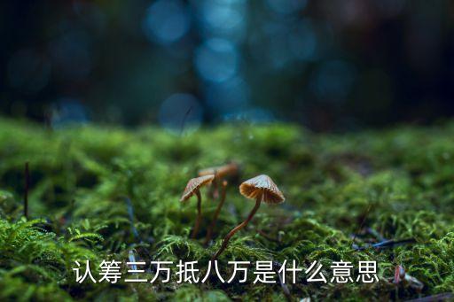 認(rèn)籌三萬抵八萬是什么意思