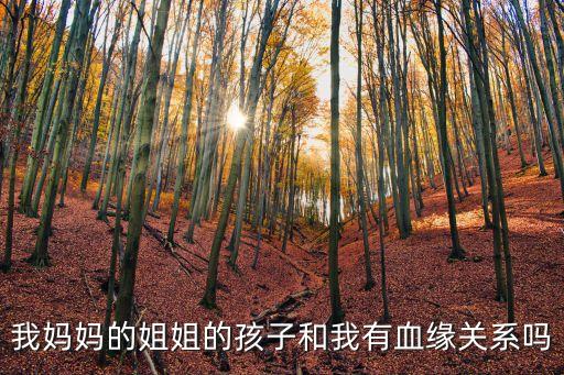 我媽媽的姐姐的孩子和我有血緣關(guān)系嗎