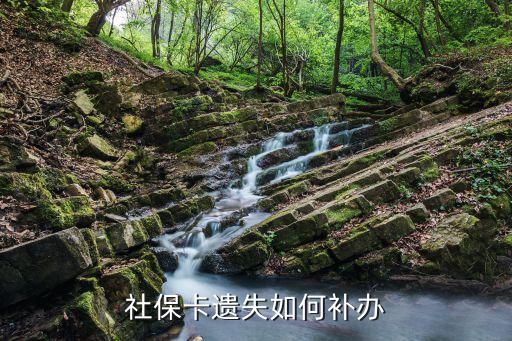 社?？▉G失如何補辦，社?？ㄟz失如何補辦