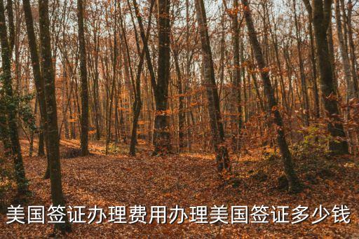 美國簽證辦理費用辦理美國簽證多少錢
