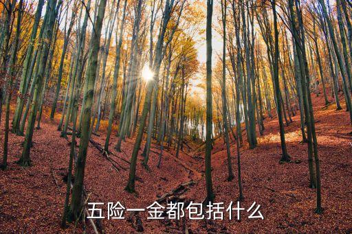 五險一金都包括什么
