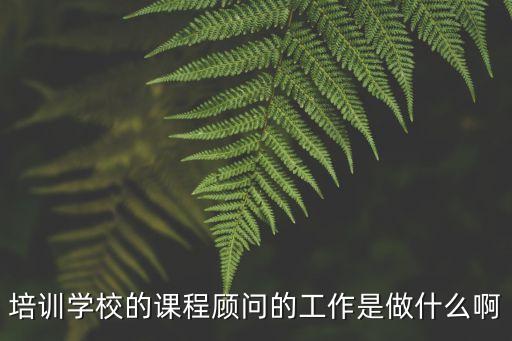 培訓(xùn)學(xué)校的課程顧問的工作是做什么啊