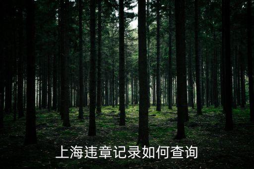上海違章查詢，上海交通違章記錄查詢