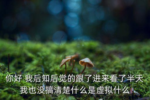 你好 我后知后覺(jué)的跟了進(jìn)來(lái)看了半天我也沒(méi)搞清楚什么是虛擬什么