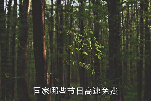 國家哪些節(jié)日高速免費