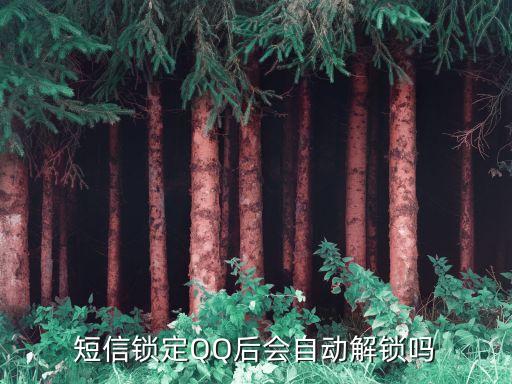 自動解鎖，QQ號被鎖隹了能自動解鎖嗎