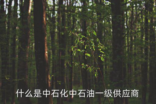 什么是中石化中石油一級(jí)供應(yīng)商