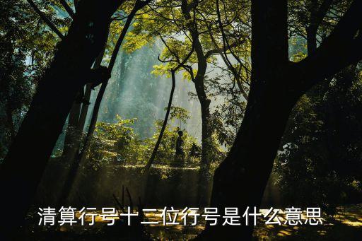 清算行，清算行號十二位行號是什么意思