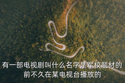 張玉貴，刑警張玉貴之四 忠孝兩全怎么樣