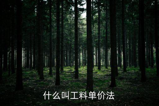 工料單價(jià)法，綜合單價(jià)法和工料單價(jià)法分別包含了那些內(nèi)容