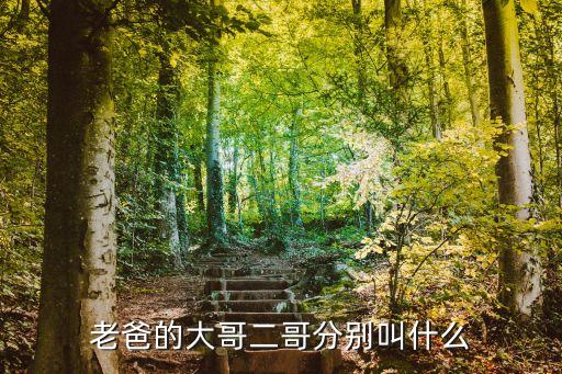 老爸的大哥二哥分別叫什么