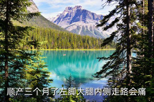 谷鵬，谷鵬何方高人能幫設(shè)計這個名字的藝術(shù)簽名