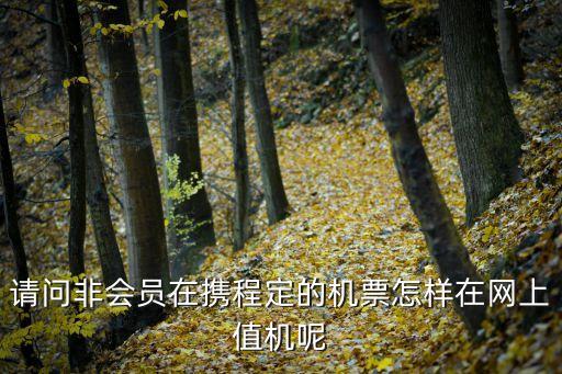 請(qǐng)問非會(huì)員在攜程定的機(jī)票怎樣在網(wǎng)上值機(jī)呢