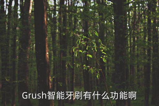 grush，牙刷有智能的嗎 都有什么功能