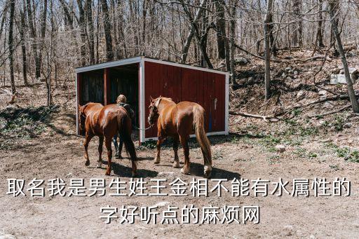 王金磊，能拜托設(shè)計(jì)個(gè)王金磊簽名嗎