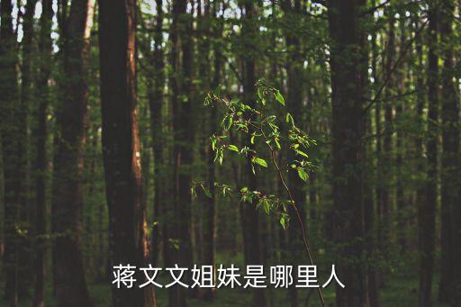 蔣文文姐妹是哪里人