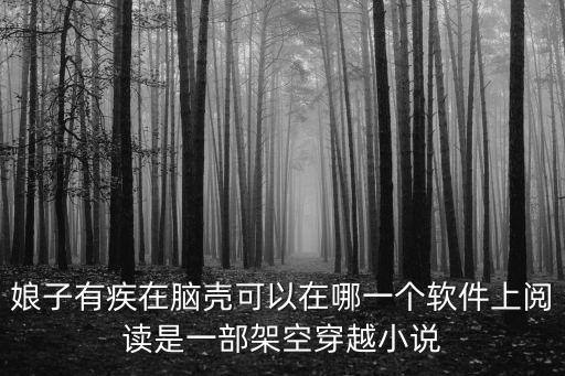 娘子有疾在腦殼可以在哪一個(gè)軟件上閱讀是一部架空穿越小說(shuō)