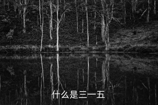 三一五，315是什么意思