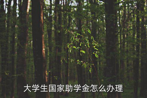 大學(xué)生國(guó)家助學(xué)金怎么辦理