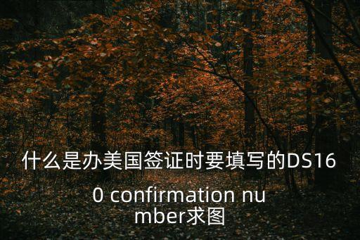 ds160，I20和DS160表分別是什么