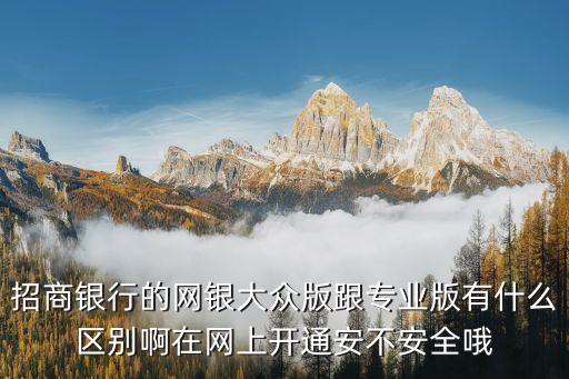 招商銀行大眾版，招商銀行的網(wǎng)銀大眾版跟專業(yè)版有什么區(qū)別啊在網(wǎng)上開通安不安全哦