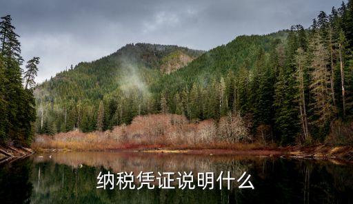 納稅憑證說明什么