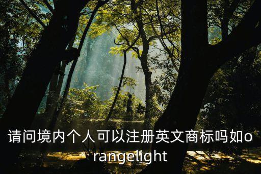 請(qǐng)問境內(nèi)個(gè)人可以注冊(cè)英文商標(biāo)嗎如orangelight