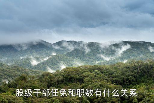 職數(shù)，領(lǐng)導(dǎo)職數(shù)是指的文件規(guī)定職數(shù)還是實(shí)際職數(shù)